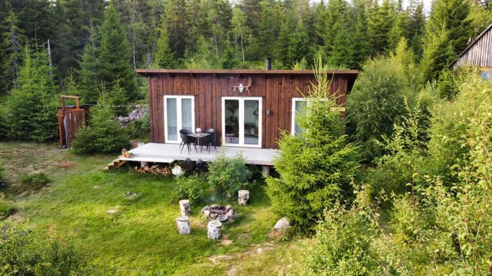 Cozy Forest Cabin With Amazing Mountain View Torsby Esterno foto
