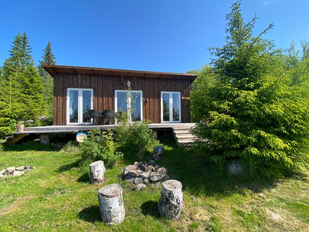 Cozy Forest Cabin With Amazing Mountain View Torsby Esterno foto