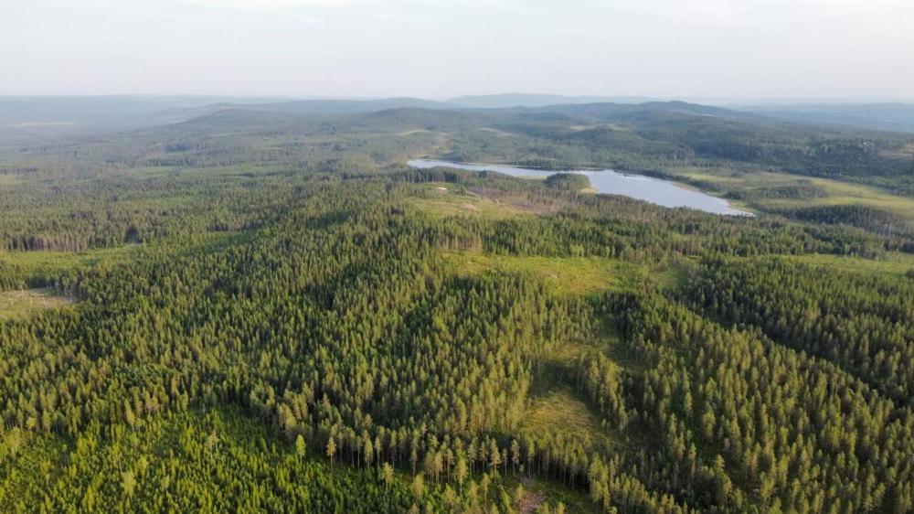 Cozy Forest Cabin With Amazing Mountain View Torsby Esterno foto
