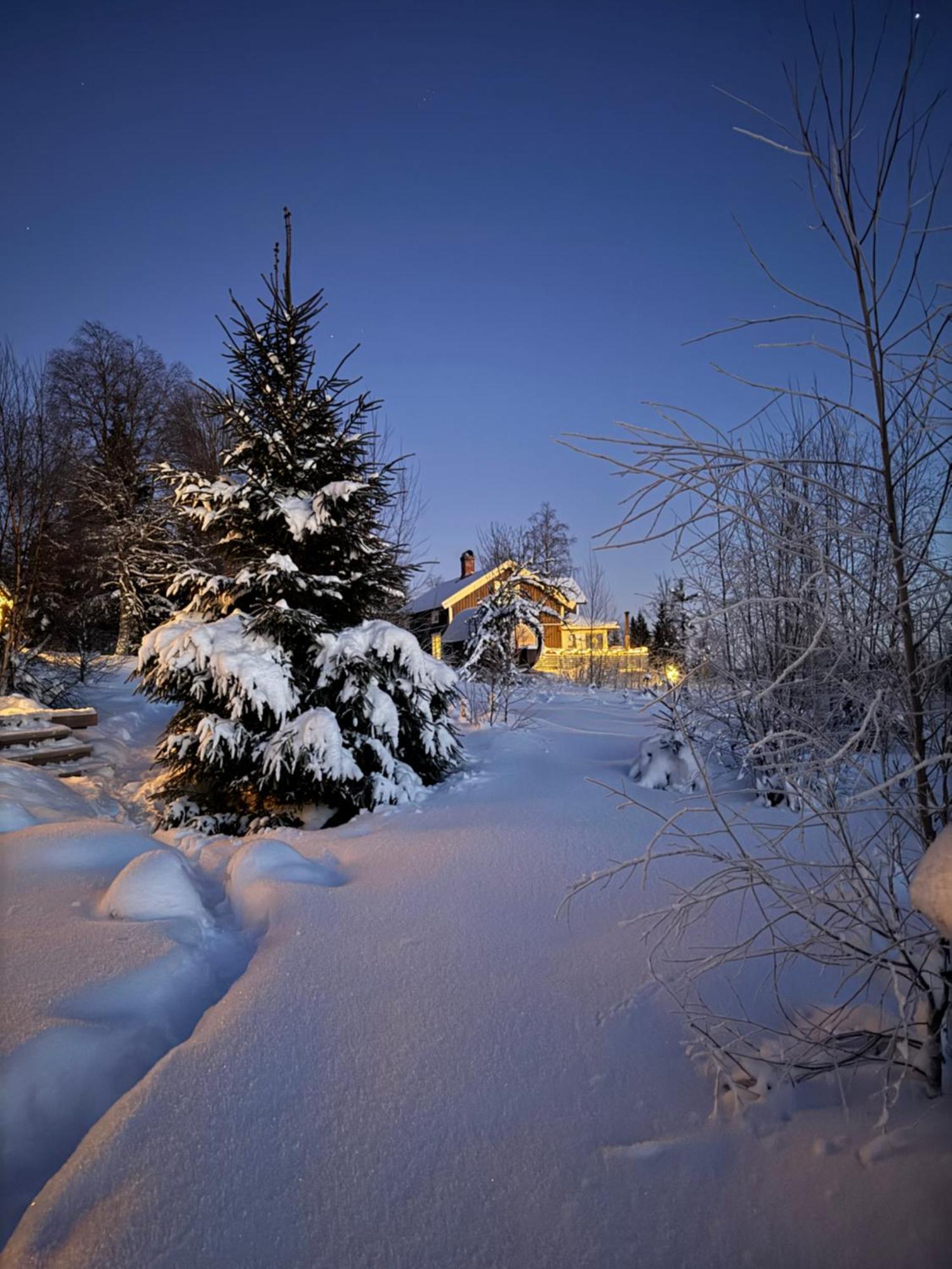 Cozy Forest Cabin With Amazing Mountain View Torsby Esterno foto