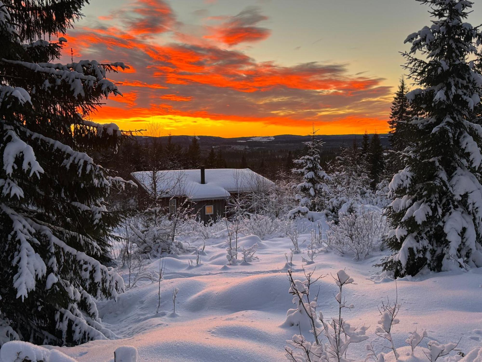 Cozy Forest Cabin With Amazing Mountain View Torsby Esterno foto