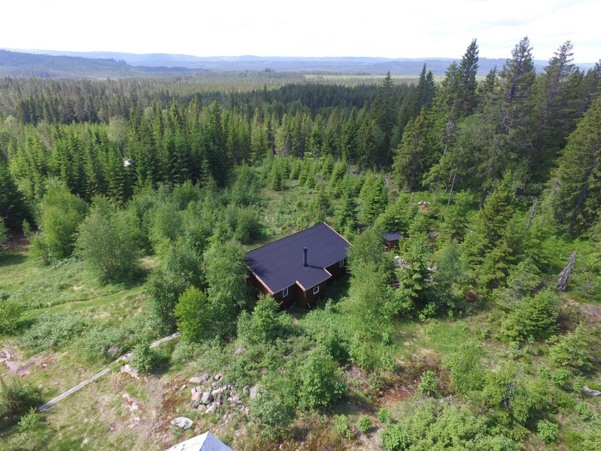 Cozy Forest Cabin With Amazing Mountain View Torsby Esterno foto
